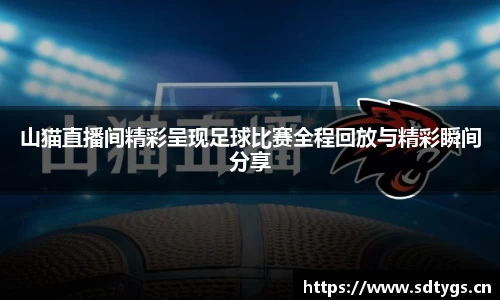 山猫直播间精彩呈现足球比赛全程回放与精彩瞬间分享